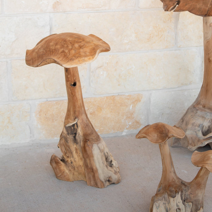 Teak Wood Mushrooms - Solange & Frances