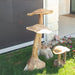 Teak Wood Mushrooms - Solange & Frances