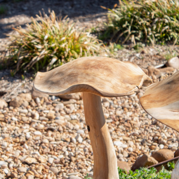 Teak Wood Mushrooms - Solange & Frances