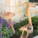 Teak Wood Mushrooms - Solange & Frances