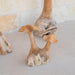 Teak Wood Mushrooms - Solange & Frances