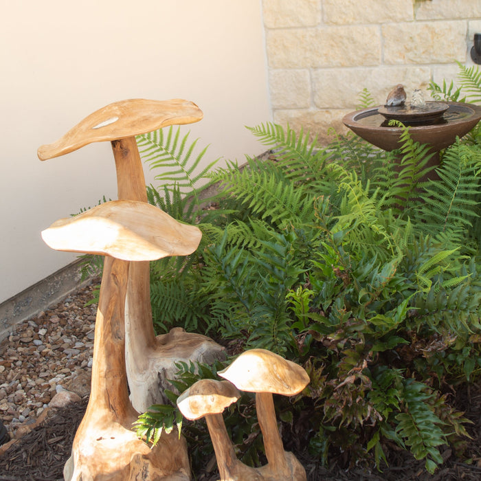 Teak Wood Mushrooms - Solange & Frances