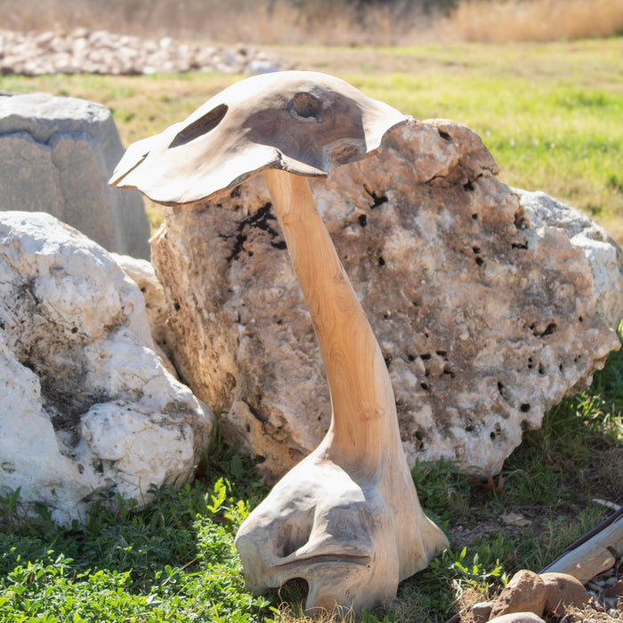 Teak Wood Mushrooms - Solange & Frances