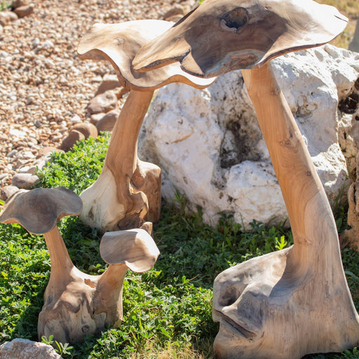 Teak Wood Mushrooms - Solange & Frances