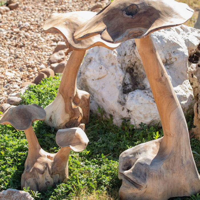 Teak Wood Mushrooms - Solange & Frances
