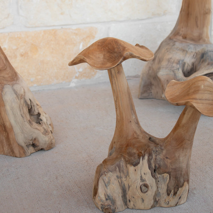Teak Wood Mushrooms - Solange & Frances