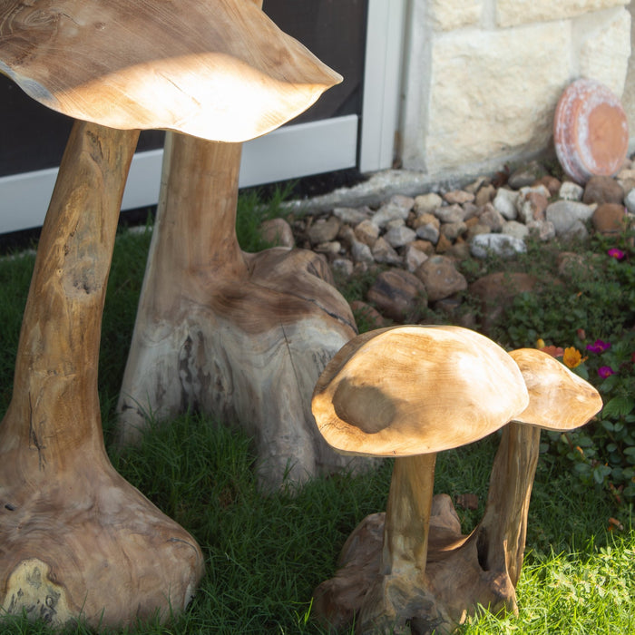 Teak Wood Mushrooms - Solange & Frances