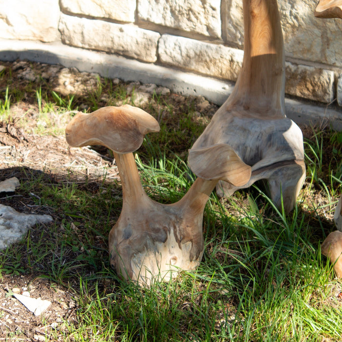 Teak Wood Mushrooms - Solange & Frances