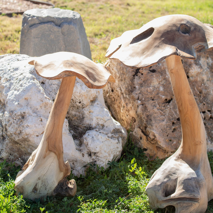 Teak Wood Mushrooms - Solange & Frances