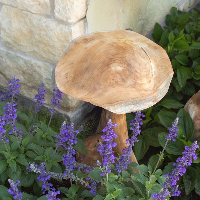 Teak Wood Mushrooms - Solange & Frances
